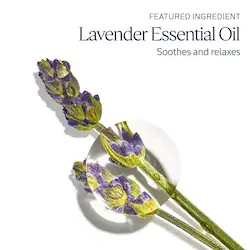 L'Occitane Lavender Harvest Hand Cream