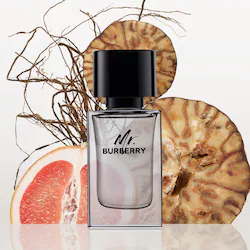 BURBERRY Mr. Burberry Eau de Toilette