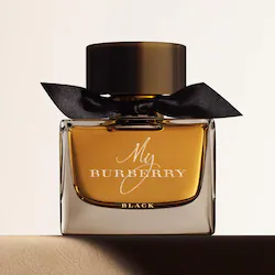 BURBERRY My Burberry Black