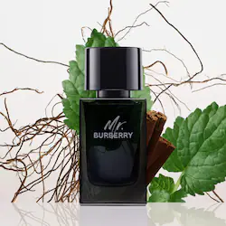 BURBERRY Mr. Burberry Eau de Parfum