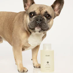OUAI Pet Shampoo