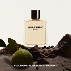 BURBERRY Hero Eau de Toilette