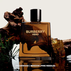 BURBERRY Hero Eau de Parfum with Pine & Cedarwood