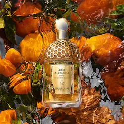GUERLAIN Aqua Allegoria Mandarine Basilic Forte Eau de Parfum