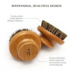 Kate McLeod The Dry Brush