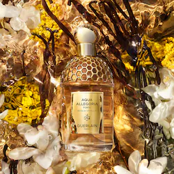 GUERLAIN Aqua Allegoria Bosca Vanilla Forte Eau de Parfum