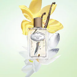 Prada Infusion de Vanille Eau de Parfum with Vanilla & Bergamot