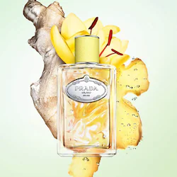 Prada Infusion Gingembre Eau de Parfum with Ginger & Vetiver