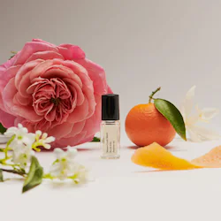 Maison Louis Marie No. 14 Icila Perfume Oil
