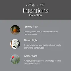 CANOPY Intentions Aroma Kit by Alli Webb with Essential Oils