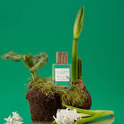 CLEAN RESERVE Limited Edition Reserve - Rain Eau de Parfum