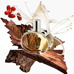 HERMÈS Barénia, Eau de Parfum