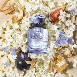 Dolce&Gabbana Dolce Blue Jasmine Eau de Parfum with Fig & Cedarwood Travel Spray