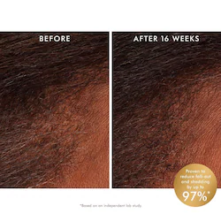 Moroccanoil Revitalizing Scalp Tonic Treatment for Thinning Hair
