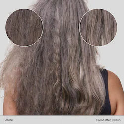 Living Proof No Frizz Smoothing Conditioner