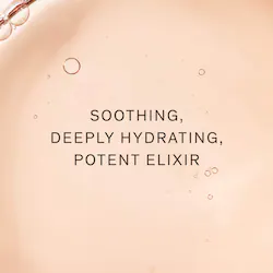 Sulwhasoo Concentrated Ginseng Rejuvenating Ampoule