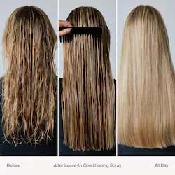 Living Proof Mini Leave-In Conditioner Heat Protection Spray