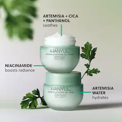 Hanyul Korean Artemisia Soothing Gel Cream Lightweight Moisturizer with Centella Asiatica and Niacinamide -
