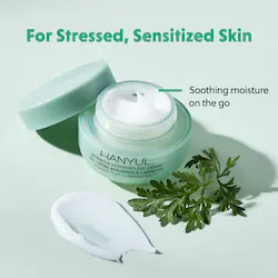 Hanyul Korean Mini Artemisia Soothing Gel Cream Lightweight Moisturizer with Centella Asiatica and Niacinam