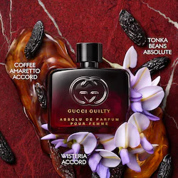Gucci Guilty Absolu de Parfum for Women with Coffee and Tonka Bean