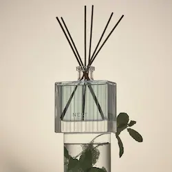 NEST New York Wild Mint & Eucalyptus Reed Diffuser