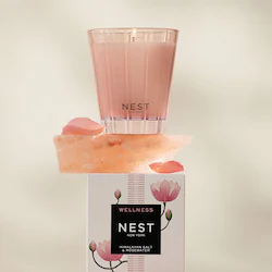 NEST New York Himalayan Salt & Rosewater Candle
