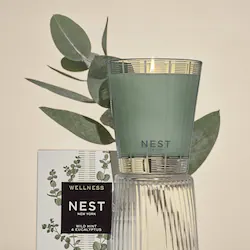 NEST New York Wild Mint & Eucalyptus Classic Candle