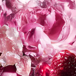 Viktor&Rolf Flowerbomb Pretty Peony Eau De Parfum Travel Spray with Peony & Strawberry