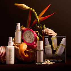 OUAI St. Barts Hair & Body Mist, Leave In Conditioner & Hair Oil Gift Set