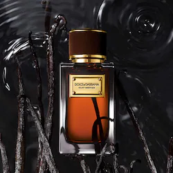 Dolce&Gabbana Velvet Amber Sun with Sandalwood