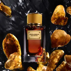 Dolce&Gabbana Velvet Amber Skin with Bergamot