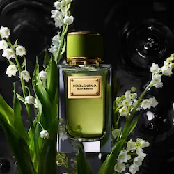 Dolce&Gabbana Velvet Mughetto with White Florals