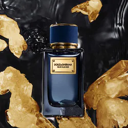 Dolce&Gabbana Velvet Blue Musk with Saffron & Rose