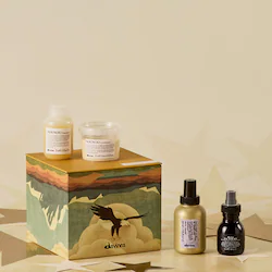 Davines Boreal Tundra NOUNOU Gift Set for Damaged Hair