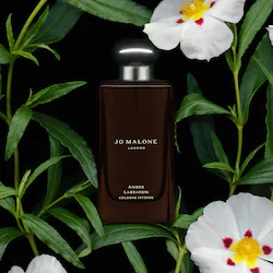 Jo Malone London Amber Labdanum Cologne Intense