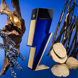 Carolina Herrera Bad Boy Cobalt Absolute with Woods