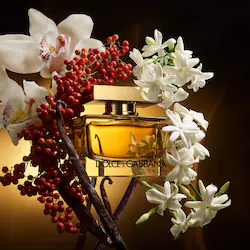Dolce&Gabbana The One Eau de Parfum Intense with Jasmine