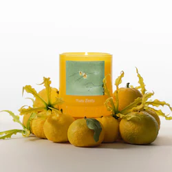 Boy Smells Yuzu Zesty Candle