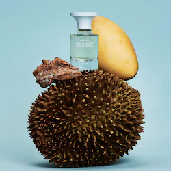 BORNTOSTANDOUT Gold Juice Eau Intimite Travel Spray with Mango