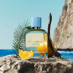 Dolce&Gabbana Light Blue Pour Homme Eau de Parfum Orange & Cedarwood Travel Spray