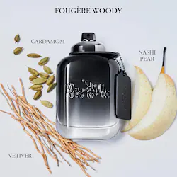 COACH Coach For Men Eau de Toilette Travel Spray
