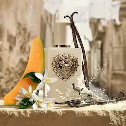Dolce&Gabban Your Devotion Eau de Parfum Intense with Orange Blossom and Vanilla Milk Travel Spray