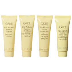 Oribe Hair Alchemy Resilience Set